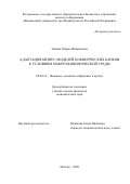 Зинина Мария Михайловна. Адаптация бизнес-моделей коммерческих банков к условиям макроэкономической среды: дис. кандидат наук: 08.00.10 - Финансы, денежное обращение и кредит. ФГОБУ ВО Финансовый университет при Правительстве Российской Федерации. 2021. 183 с.