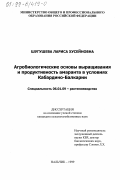 Шугушева, Лариса Хусейновна. Агробиологические основы выращивания и продуктивность амаранта в условиях Кабардино-Балкарии: дис. кандидат сельскохозяйственных наук: 06.01.09 - Растениеводство. Нальчик. 1999. 150 с.