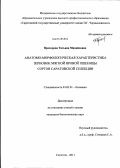 Прохорова, Татьяна Михайловна. Анатомо-морфологическая характеристика зерновок мягкой яровой пшеницы сортов саратовской селекции: дис. кандидат биологических наук: 03.02.01 - Ботаника. Саратов. 2011. 170 с.