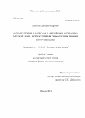 Ложников, Дмитрий Андреевич. Асимптотики в задачах о линейных волнах на мелкой воде, порожденных локализованными источниками: дис. кандидат наук: 01.01.03 - Математическая физика. Москва. 2014. 98 с.