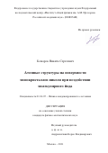 Комаров Никита Сергеевич. «Атомные структуры на поверхности монокристаллов никеля при воздействии молекулярного йода»: дис. кандидат наук: 01.04.07 - Физика конденсированного состояния. ФГБУН Федеральный исследовательский центр «Институт общей физики им. А.М. Прохорова Российской академии наук». 2021. 168 с.