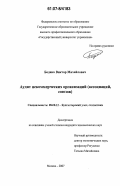 Бодяко, Виктор Михайлович. Аудит некоммерческих организаций: ассоциаций, союзов: дис. кандидат экономических наук: 08.00.12 - Бухгалтерский учет, статистика. Москва. 2007. 240 с.