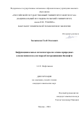 Засыпалов Глеб Олегович. Бифункциональные катализаторы на основе природных алюмосиликатов для гидрооблагораживания бионефти: дис. кандидат наук: 00.00.00 - Другие cпециальности. ФГБОУ ВО «Московский государственный университет имени М.В. Ломоносова». 2024. 180 с.