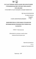 Кудря, Алексей Михайлович. Биоконверсия растительных отходов при промышленном производстве грибов рода Pleurotus: дис. кандидат биологических наук: 03.00.23 - Биотехнология. Краснодар. 2007. 155 с.