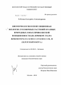 Кобозева, Екатерина Александровна. Биоморфология и популяционная экология луковичных растений в разных природных зонах Приволжской возвышенности: на примере Tulipa biebersteiniana Shult. et Shult. fil. и Lilium martagon L.: дис. кандидат биологических наук: 03.02.01 - Ботаника. Москва. 2010. 274 с.