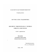 Петухова, Елена Владимировна. Биосинтез эндонуклеазы и хитиназ Serratia marcescens: дис. кандидат биологических наук: 03.00.07 - Микробиология. Казань. 2000. 123 с.