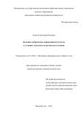 Лемза Александр Олегович. Большие необратимые деформации ползучести в условиях локального пластического течения: дис. кандидат наук: 01.02.04 - Механика деформируемого твердого тела. ФГБОУ ВО «Комсомольский-на-Амуре государственный университет». 2019. 123 с.