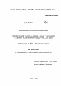 Ишмухаметов, Наиль Салаватович. Человеческий капитал: специфика и условия его развития на стадии постиндустриализации: дис. кандидат экономических наук: 08.00.01 - Экономическая теория. Уфа. 2011. 221 с.