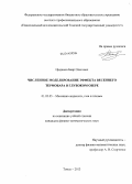 Цыденов, Баир Олегович. Численное моделирование эффекта весеннего термобара в глубоком озере: дис. кандидат наук: 01.02.05 - Механика жидкости, газа и плазмы. Томск. 2013. 145 с.