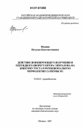 Фомина, Наталья Константиновна. Действие ионизирующего излучения и пептидного биорегулятора эпиталона на кинетику роста и функциональную морфологию саркомы М-1: дис. кандидат биологических наук: 03.00.01 - Радиобиология. Обнинск. 2007. 162 с.