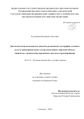 Чухонцева Екатерина Сергеевна. Диагностические возможности магнитно-резонансной томографии головного мозга и транскраниальной электростимуляции с обратной связью у пациентов с хроническим нарушением мозгового кровообращения: дис. кандидат наук: 14.01.13 - Лучевая диагностика, лучевая терапия. ФГАОУ ВО Первый Московский государственный медицинский университет имени И.М. Сеченова Министерства здравоохранения Российской Федерации (Сеченовский Университет). 2022. 148 с.