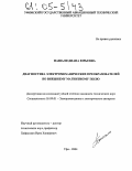 Пашали, Диана Юрьевна. Диагностика электромеханических преобразователей по внешнему магнитному полю: дис. кандидат технических наук: 05.09.01 - Электромеханика и электрические аппараты. Уфа. 2004. 182 с.