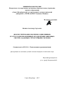 Якшин, Александр Сергеевич. Диагностирование и компенсация ошибок в узлах радиолокационных и радионавигационных систем, заданных структурными схемами: дис. кандидат наук: 05.12.14 - Радиолокация и радионавигация. Санкт-Петербург. 2017. 133 с.