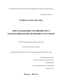 Тупиков Антон Сергеевич. Дикетосодержащие олигофосфазены и комплексообразующие полиимины на их основе: дис. кандидат наук: 02.00.06 - Высокомолекулярные соединения. ФГБОУ ВО «Российский химико-технологический университет имени Д.И. Менделеева». 2019. 143 с.