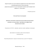 Погодин Роман Александрович. Динамика, обоснование и практическая реализация конструктивных решений для малоразмерных турбоприводов шлифовальных пневматических машин: дис. кандидат наук: 01.02.06 - Динамика, прочность машин, приборов и аппаратуры. ФГБОУ ВО «Нижегородский государственный технический университет им. Р.Е. Алексеева». 2022. 180 с.