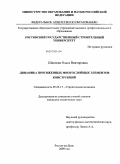 Шиляева, Ольга Викторовна. Динамика протяженных многослойных элементов конструкций: дис. кандидат технических наук: 05.23.17 - Строительная механика. Ростов-на-Дону. 2009. 125 с.