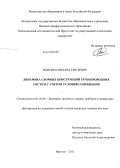 Яхненко, Михаил Сергеевич. Динамика сборных конструкций трубопроводных систем с учётом условий сопряжения: дис. кандидат технических наук: 01.02.06 - Динамика, прочность машин, приборов и аппаратуры. Иркутск. 2011. 168 с.