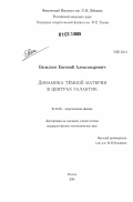 Васильев, Евгений Александрович. Динамика тёмной матери в центрах галактик: дис. кандидат физико-математических наук: 01.04.02 - Теоретическая физика. Москва. 2006. 100 с.