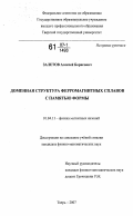 Залетов, Алексей Борисович. Доменная структура ферромагнитных сплавов с памятью формы: дис. кандидат физико-математических наук: 01.04.11 - Физика магнитных явлений. Тверь. 2007. 128 с.