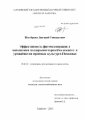 Шестёркин, Дмитрий Геннадьевич. Эффективность фитомелиорации в повышении плодородия чернозёма южного и урожайности зерновых культур в Поволжье: дис. кандидат наук: 06.01.02 - Мелиорация, рекультивация и охрана земель. Саратов. 2013. 200 с.