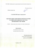 Саламатов, Артем Аркадьевич. Экологизация экономической подготовки старших школьников в системе профильного обучения: дис. доктор педагогических наук: 13.00.01 - Общая педагогика, история педагогики и образования. Челябинск. 2010. 417 с.