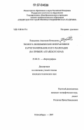 Владыкина, Анастасия Витальевна. Эколого-экономическое интерактивное картографирование и его реализация: на примере Алтайского края: дис. кандидат технических наук: 25.00.33 - Картография. Новосибирск. 2007. 148 с.