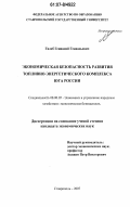 Гилеб, Геннадий Геннадьевич. Экономическая безопасность развития топливно-энергетического комплекса Юга России: дис. кандидат экономических наук: 08.00.05 - Экономика и управление народным хозяйством: теория управления экономическими системами; макроэкономика; экономика, организация и управление предприятиями, отраслями, комплексами; управление инновациями; региональная экономика; логистика; экономика труда. Ставрополь. 2007. 255 с.