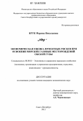 Крук, Марина Николаевна. Экономическая оценка проектных рисков при освоении морских газовых месторождений Обской губы: дис. кандидат экономических наук: 08.00.05 - Экономика и управление народным хозяйством: теория управления экономическими системами; макроэкономика; экономика, организация и управление предприятиями, отраслями, комплексами; управление инновациями; региональная экономика; логистика; экономика труда. Санкт-Петербург. 2012. 148 с.