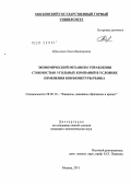 Шульгина, Ольга Викторовна. Экономический механизм управления стоимостью угольных компаний в условиях изменения конъюнктуры рынка: дис. кандидат экономических наук: 08.00.10 - Финансы, денежное обращение и кредит. Москва. 2011. 136 с.