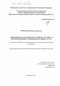 Ермолаев, Михаил Борисович. Экономико-математические модели анализа и прогнозирования регионального рынка труда: дис. доктор экономических наук: 08.00.13 - Математические и инструментальные методы экономики. Иваново. 2005. 274 с.