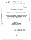 Калашников, Игорь Анатольевич. Экономико-организационные основы развития лизинга в промышленном производстве: дис. кандидат экономических наук: 08.00.05 - Экономика и управление народным хозяйством: теория управления экономическими системами; макроэкономика; экономика, организация и управление предприятиями, отраслями, комплексами; управление инновациями; региональная экономика; логистика; экономика труда. Ростов-на-Дону. 2002. 187 с.