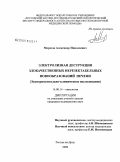 Морозов, Александр Николаевич. Электролизная деструкция злокачественных нерезектабельных новообразований печени (экспериментально-клиническое исследование): дис. кандидат медицинских наук: 14.00.14 - Онкология. Ростов-на-Дону. 2009. 146 с.