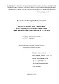 Колесникова Екатерина Владимировна. «Эндоскопическая анатомия гастродуоденального перехода и её изменения при язвенной болезни»: дис. кандидат наук: 14.03.01 - Анатомия человека. ФГБОУ ВО «Оренбургский государственный медицинский университет» Министерства здравоохранения Российской Федерации. 2017. 165 с.