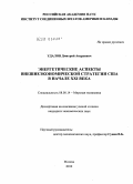 Удалов, Дмитрий Андреевич. Энергетические аспекты внешнеэкономической стратегии США в начале XXI века: дис. кандидат экономических наук: 08.00.14 - Мировая экономика. Москва. 2010. 226 с.