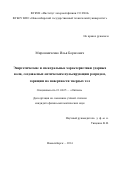 Мирошниченко Илья Борисович. Энергетические и спектральные характеристики ударных волн, создаваемых оптическим пульсирующим разрядом, горящим на поверхности твердых тел: дис. кандидат наук: 01.04.05 - Оптика. ФГБУН Институт лазерной физики Сибирского отделения Российской академии наук. 2016. 121 с.