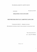 Бондаренко, Артём Сергеевич. Энергобезопасность ЕС и интересы России: дис. кандидат наук: 08.00.14 - Мировая экономика. Москва. 2013. 182 с.