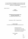 Беляев, Олег Валерьевич. Эпидемиология и реабилитация больных эпилепсией (по материалам Волгоградской обл.): дис. кандидат медицинских наук: 14.00.13 - Нервные болезни. Санкт-Петербург. 2005. 148 с.