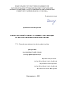 Дашкова Елена Валерьевна. Этнокультурный туризм в условиях глобализации: культурно-антропологический анализ: дис. доктор наук: 00.00.00 - Другие cпециальности. ФГАОУ ВО «Белгородский государственный национальный исследовательский университет». 2023. 290 с.