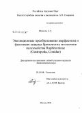 Федосов, Александр Эрнстович. Эволюционные преобразования морфологии и филогения хищных брюхоногих моллюсков подсемейства Raphitominae (Gastropoda, Conidae): дис. кандидат биологических наук: 03.00.08 - Зоология. Москва. 2008. 219 с.