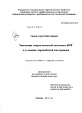 Седых, Сергей Викторович. Эволюция энергетической политики ФРГ в условиях европейской интеграции: дис. кандидат экономических наук: 08.00.14 - Мировая экономика. Москва. 2011. 173 с.