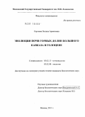 Сергеева, Полина Арменовна. Эволюция почв горных долин Большого Кавказа в голоцене: дис. кандидат биологических наук: 03.02.13 - Почвоведение. Москва. 2011. 206 с.