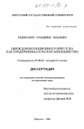 Рабинович, Владимир Юльевич. Евреи дореволюционного Иркутска как предпринимательское меньшинство: дис. кандидат исторических наук: 07.00.02 - Отечественная история. Иркутск. 1998. 253 с.