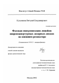 Кузьминов, Виталий Владимирович. Фазовая синхронизация линейки широкоапертурных лазерных диодов во внешнем резонаторе: дис. кандидат физико-математических наук: 01.04.21 - Лазерная физика. Москва. 2002. 148 с.