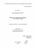 Попов, Дмитрий Геннадьевич. Феномен этно-социального конфликта в постглобальном мире: дис. кандидат философских наук: 09.00.11 - Социальная философия. Санкт-Петербург. 2009. 202 с.