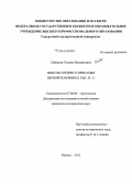 Сабирова, Татьяна Михайловна. Фибулы Среднего Прикамья первой половины I тыс. н. э.: дис. кандидат наук: 07.00.06 - Археология. Ижевск. 2015. 328 с.