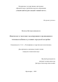 Мешкова Виктория Дмитриевна. Физическое и численное моделирование аэродинамики и тепломассообмена в условиях городской застройки: дис. кандидат наук: 00.00.00 - Другие cпециальности. ФГБУН Институт теплофизики им. С.С. Кутателадзе Сибирского отделения Российской академии наук. 2023. 149 с.