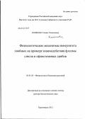 Полякова, Галина Геннадьевна. Физиологические механизмы иммунитета хвойных на примере взаимодействия флоэмы ствола и офиостомовых грибов: дис. доктор биологических наук: 03.01.05 - Физиология и биохимия растений. Красноярск. 2012. 244 с.