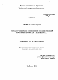 Малахова, Елена Петровна. Фольклор сибирско-белорусской семьи в смене ее поколений: конец XIX-начало XXI вв.: дис. кандидат филологических наук: 10.01.09 - Фольклористика. Челябинск. 2008. 186 с.