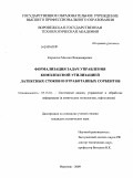 Корчагин, Михаил Владимирович. Формализация задач управления комплексной утилизацией латексных стоков и отработанных сорбентов: дис. кандидат технических наук: 05.13.01 - Системный анализ, управление и обработка информации (по отраслям). Воронеж. 2009. 175 с.