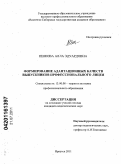 Ишкова, Алла Эдуардовна. Формирование адаптационных качеств выпускников профессионального лицея: дис. кандидат педагогических наук: 13.00.08 - Теория и методика профессионального образования. Иркутск. 2011. 204 с.